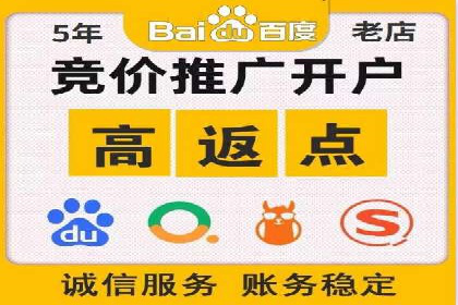 行业报告：专业SEM托管的成功实践与挑战